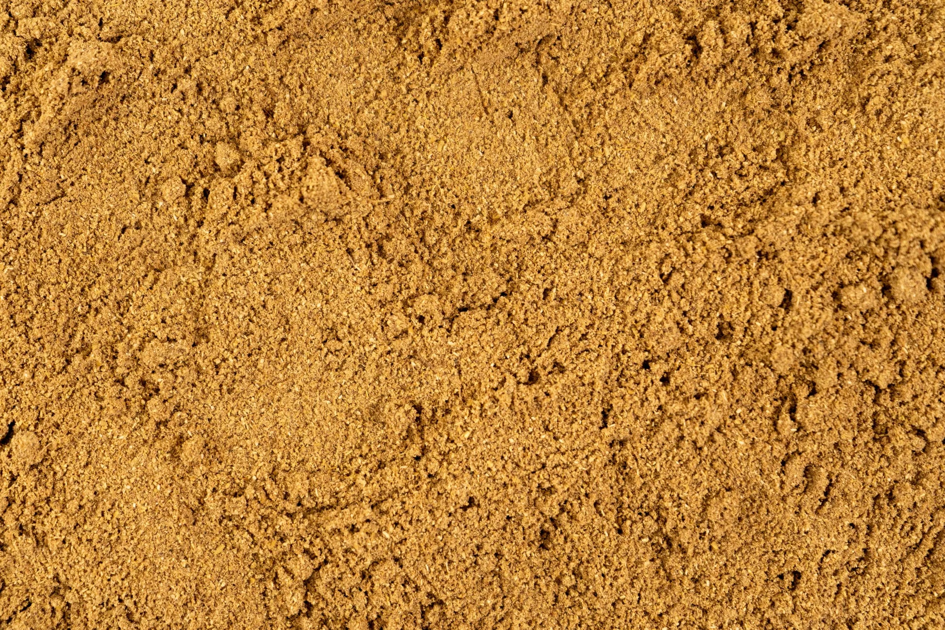 chettinad-masala-spicedright