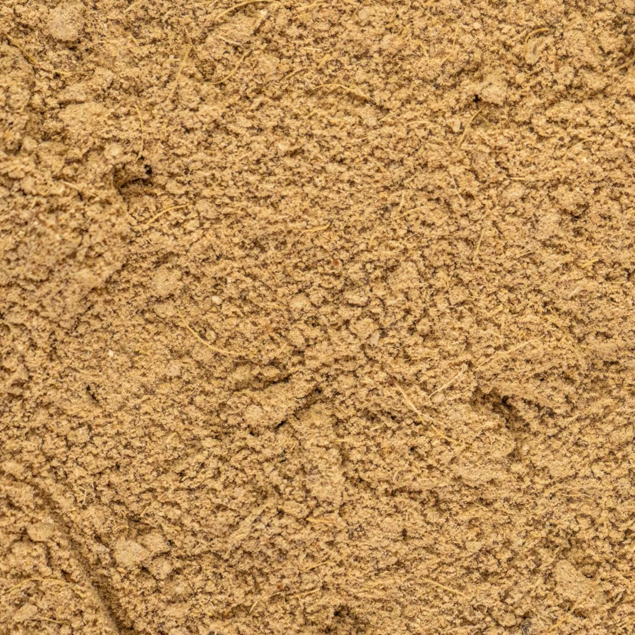 spicedright-masala-chai-five